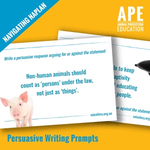 Worksheet Navigating Naplan Persuasive Writing Prompts Educationhq